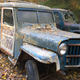 Illustration for article titled Meet The Jeep Hoarder Who Saves Precious History From Rusty Oblivion